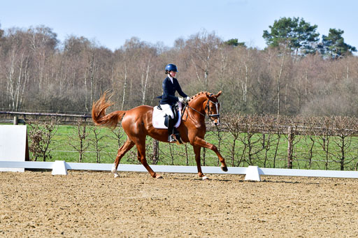 Reitsportzentrum Bremervörde | 160421 Dressurpf A_133 