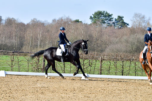 Reitsportzentrum Bremervörde | 160421 Dressurpf A_134 