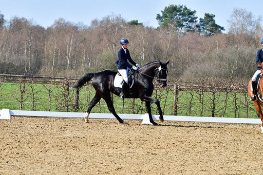 Reitsportzentrum Bremervörde | 160421 Dressurpf A_135 