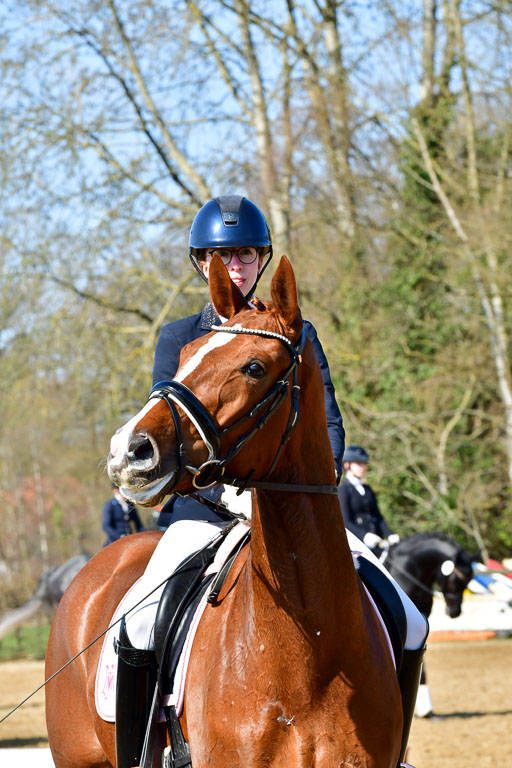 Reitsportzentrum Bremervörde | 160421 Dressurpf A_144 
