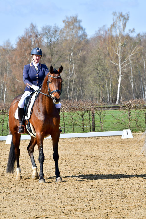 Reitsportzentrum Bremervörde | 160421 Dressurpf A_146 