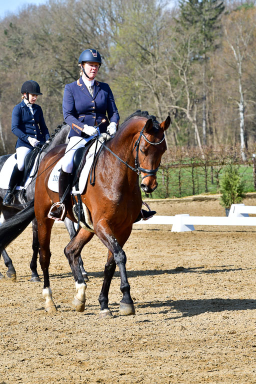 Reitsportzentrum Bremervörde | 160421 Dressurpf A_147 