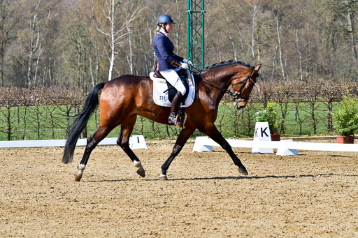 Reitsportzentrum Bremervörde | 160421 Dressurpf A_148 