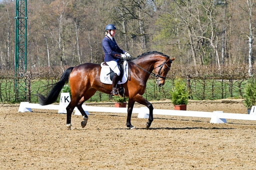 Reitsportzentrum Bremervörde | 160421 Dressurpf A_149 