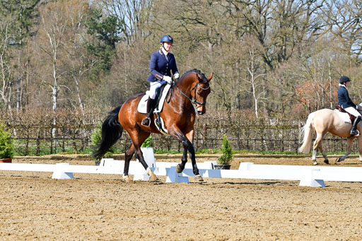 Reitsportzentrum Bremervörde | 160421 Dressurpf A_152 