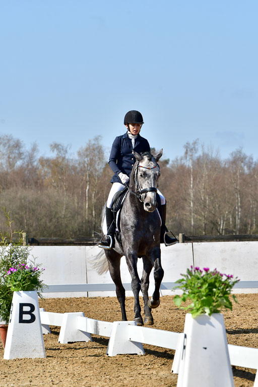 Reitsportzentrum Bremervörde | 160421 Dressurpf A_154 