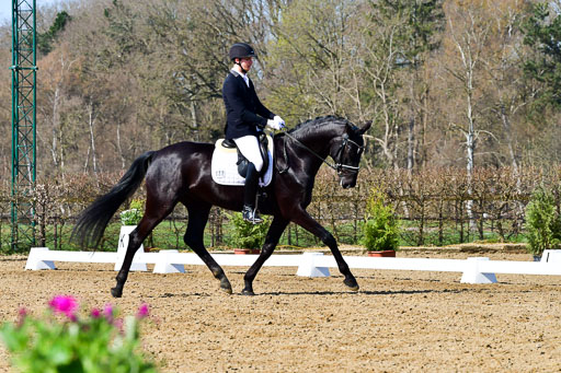 Reitsportzentrum Bremervörde | 160421 Dressurpf A_163 