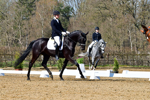 Reitsportzentrum Bremervörde | 160421 Dressurpf A_164 