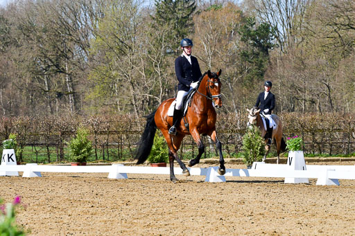 Reitsportzentrum Bremervörde | 160421 Dressurpf A_167 