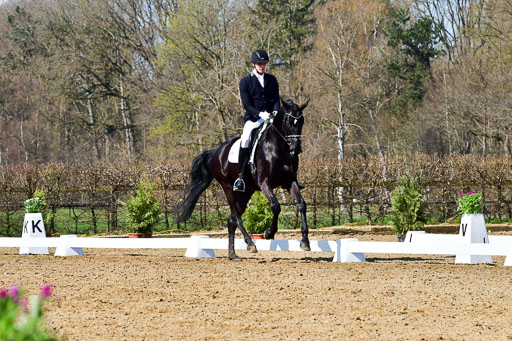 Reitsportzentrum Bremervörde | 160421 Dressurpf A_169 