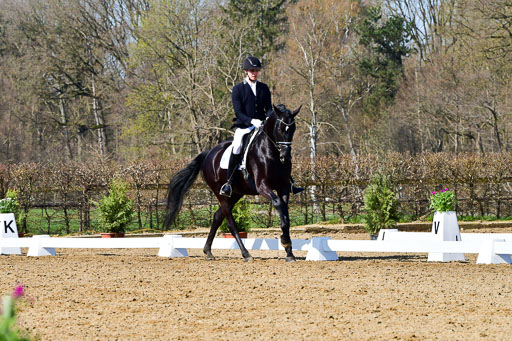 Reitsportzentrum Bremervörde | 160421 Dressurpf A_170 
