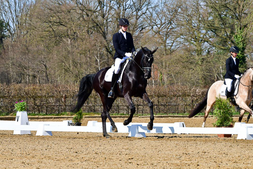 Reitsportzentrum Bremervörde | 160421 Dressurpf A_172 