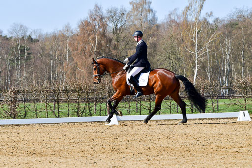 Reitsportzentrum Bremervörde | 160421 Dressurpf A_173 