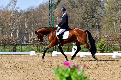 Reitsportzentrum Bremervörde | 160421 Dressurpf A_176 