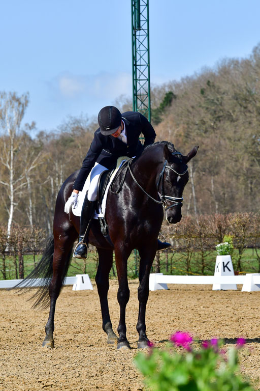 Reitsportzentrum Bremervörde | 160421 Dressurpf A_180 