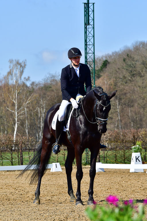 Reitsportzentrum Bremervörde | 160421 Dressurpf A_181 