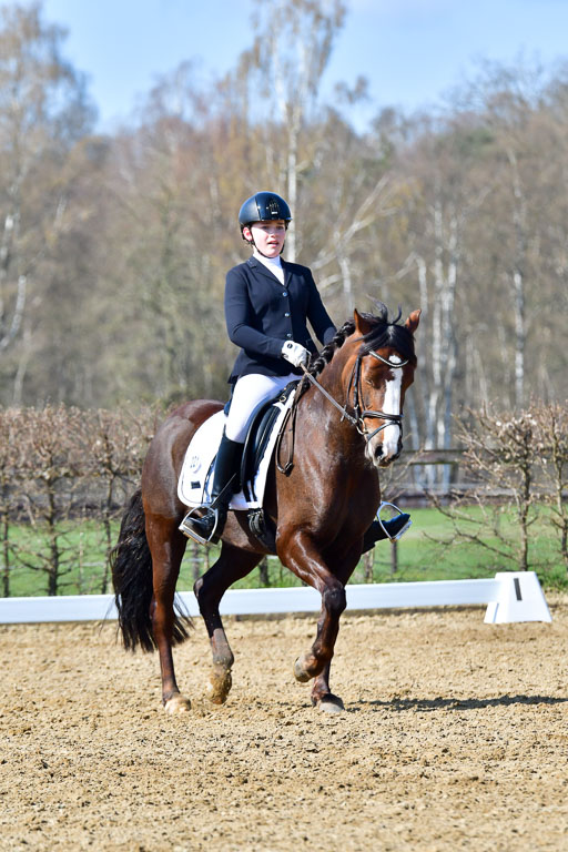 Reitsportzentrum Bremervörde | 160421 Dressurpf A_189 