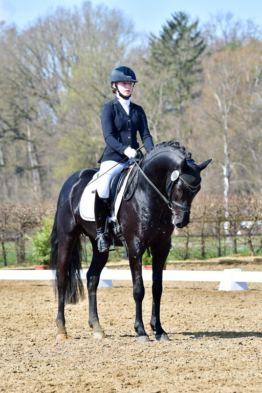 Reitsportzentrum Bremervörde | 160421 Dressurpf A_192 