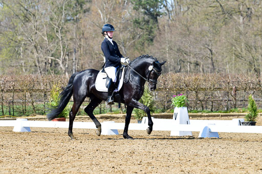 Reitsportzentrum Bremervörde | 160421 Dressurpf A_193 