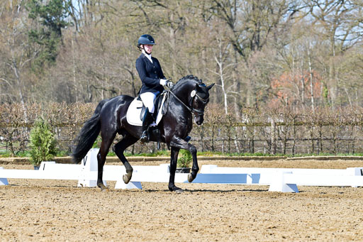 Reitsportzentrum Bremervörde | 160421 Dressurpf A_194 