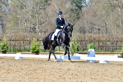 Reitsportzentrum Bremervörde | 160421 Dressurpf A_203 