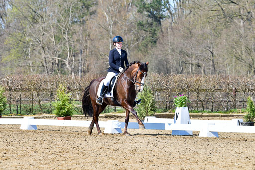 Reitsportzentrum Bremervörde | 160421 Dressurpf A_210 