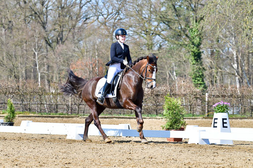Reitsportzentrum Bremervörde | 160421 Dressurpf A_213 