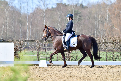 Reitsportzentrum Bremervörde | 160421 Dressurpf A_216 