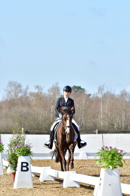 Reitsportzentrum Bremervörde | 160421 Dressurpf A_218 