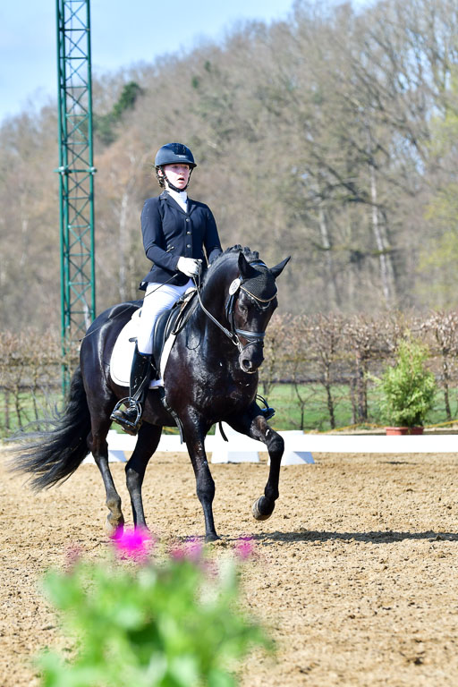 Reitsportzentrum Bremervörde | 160421 Dressurpf A_221 