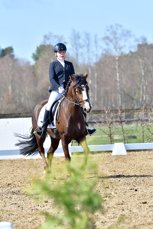 Reitsportzentrum Bremervörde | 160421 Dressurpf A_222 