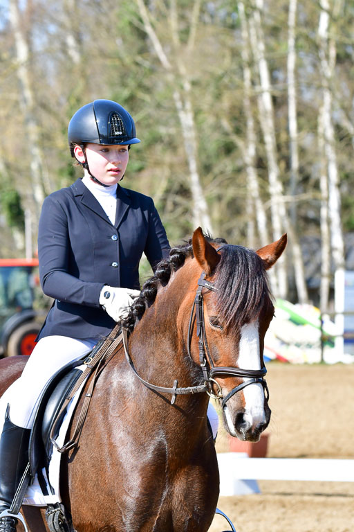 Reitsportzentrum Bremervörde | 160421 Dressurpf A_225 