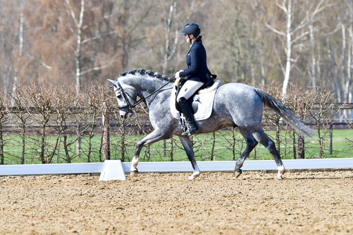 Reitsportzentrum Bremervörde | 160421 Dressurpf A_228 
