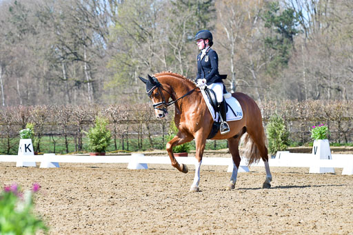 Reitsportzentrum Bremervörde | 160421 Dressurpf A_230 