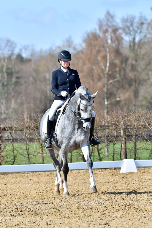 Reitsportzentrum Bremervörde | 160421 Dressurpf A_231 
