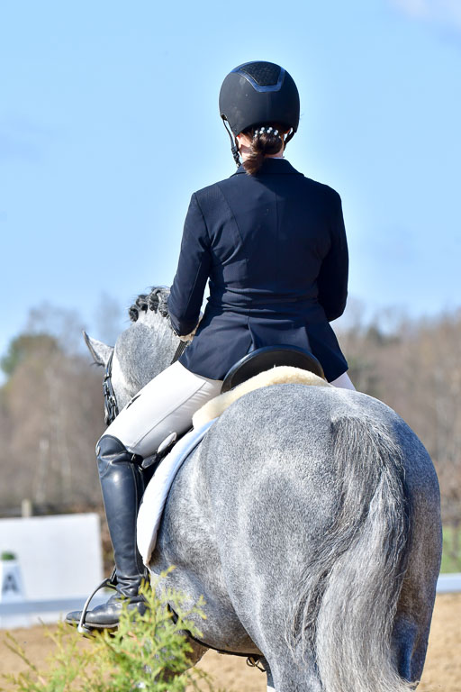 Reitsportzentrum Bremervörde | 160421 Dressurpf A_234 