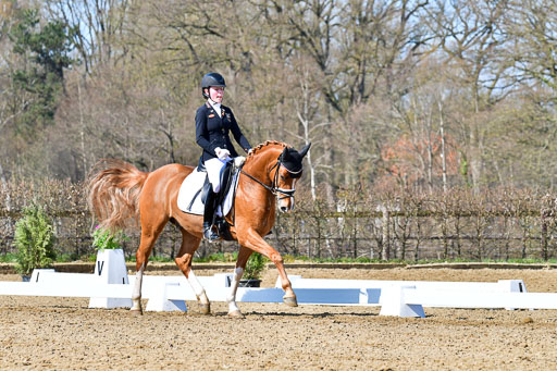 Reitsportzentrum Bremervörde | 160421 Dressurpf A_239 