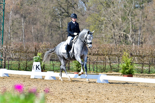 Reitsportzentrum Bremervörde | 160421 Dressurpf A_242 