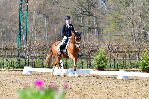 Reitsportzentrum Bremervörde | 160421 Dressurpf A_245 