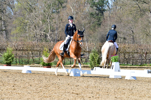 Reitsportzentrum Bremervörde | 160421 Dressurpf A_247 