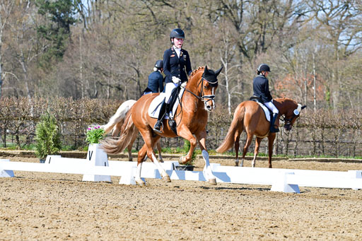 Reitsportzentrum Bremervörde | 160421 Dressurpf A_248 