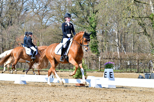 Reitsportzentrum Bremervörde | 160421 Dressurpf A_249 