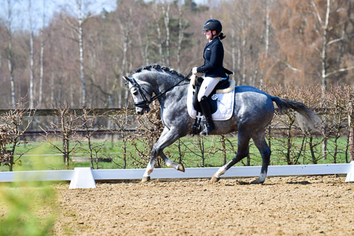 Reitsportzentrum Bremervörde | 160421 Dressurpf A_251 