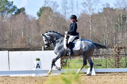 Reitsportzentrum Bremervörde | 160421 Dressurpf A_252 