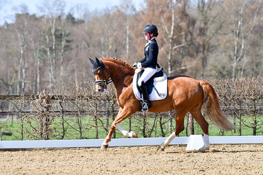Reitsportzentrum Bremervörde | 160421 Dressurpf A_254 