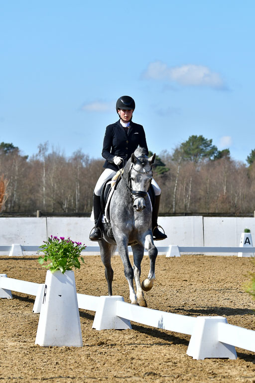 Reitsportzentrum Bremervörde | 160421 Dressurpf A_255 