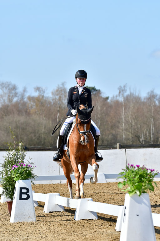 Reitsportzentrum Bremervörde | 160421 Dressurpf A_256 