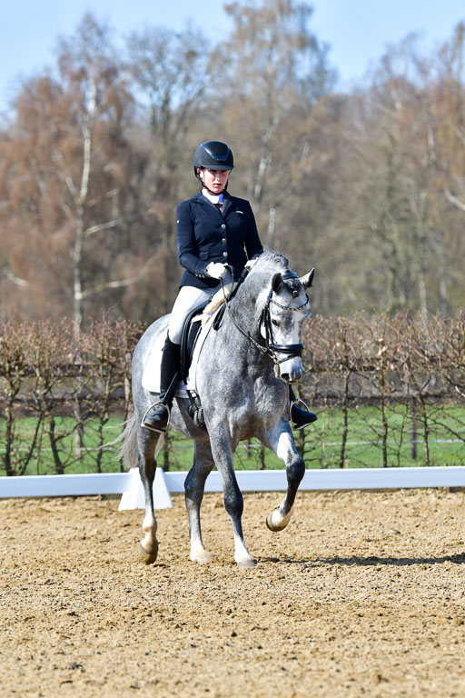 Reitsportzentrum Bremervörde | 160421 Dressurpf A_258 