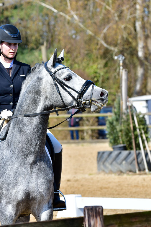 Reitsportzentrum Bremervörde | 160421 Dressurpf A_259 