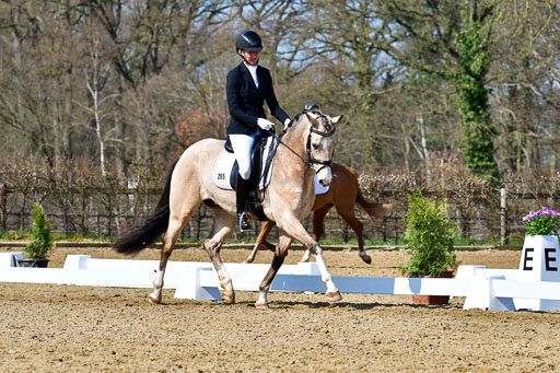 Reitsportzentrum Bremervörde | 160421 Dressurpf A_266 